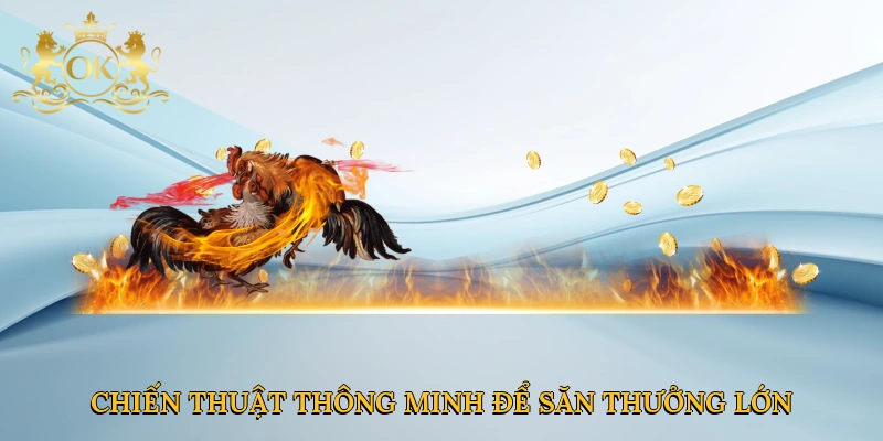 Chiến thuật thông minh để săn thưởng lớn