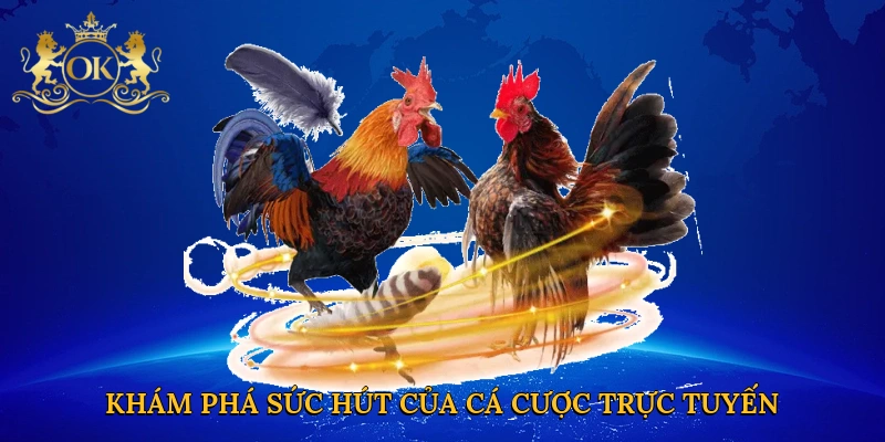 Khám phá sức hút của cá cược trực tuyến