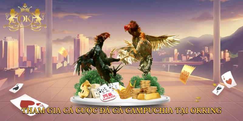 Tham gia cá cược đá gà Campuchia tại Okking